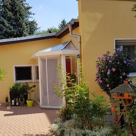 Ferienhaus Koehler Wittenberg Εξωτερικό φωτογραφία
